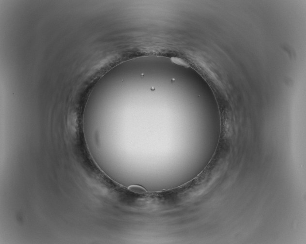 X0000111490211200907141245