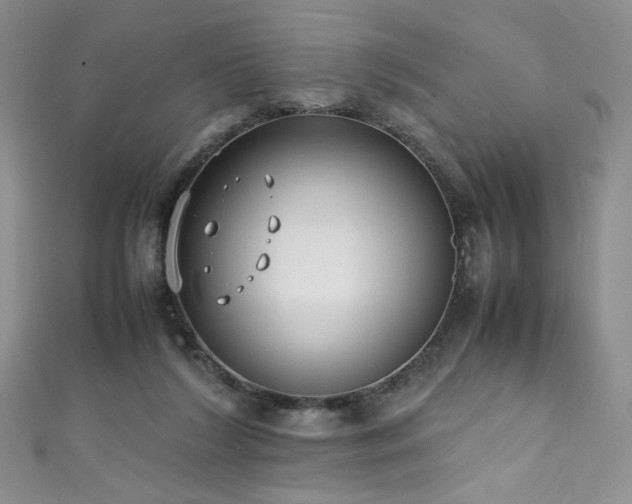 X0000111490212200907141245