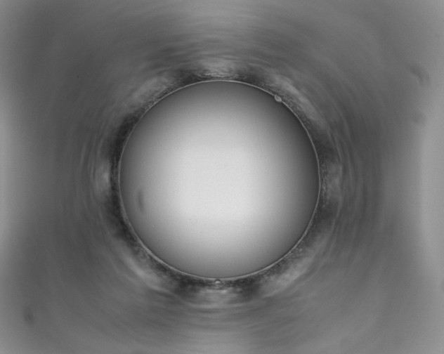 X0000111490213200907141245