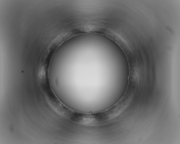 X0000111490214200907141245