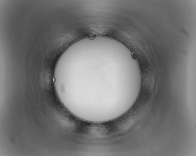 X0000111490215200907141245