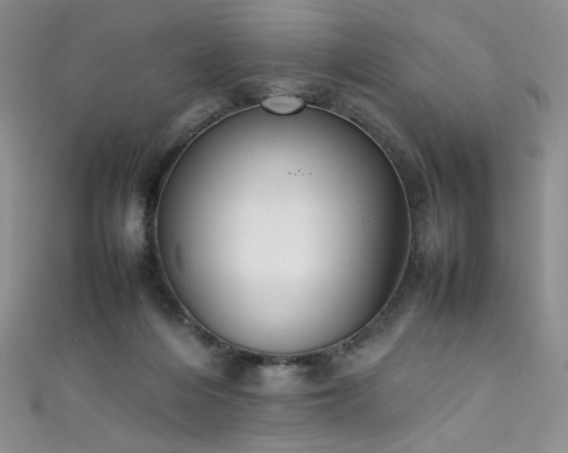 X0000111490216200907141245