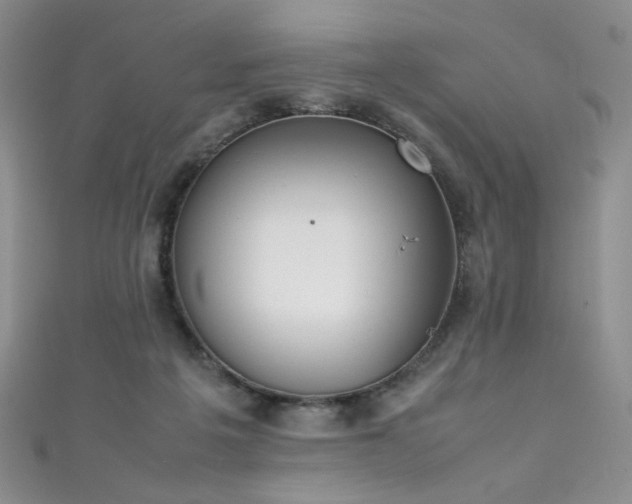 X0000111490217200907141245