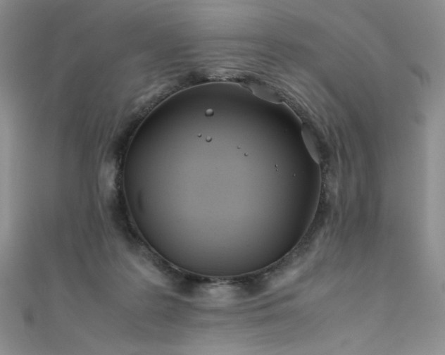 X0000111490219200907141245