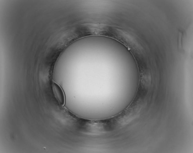 X0000111490221200907141245