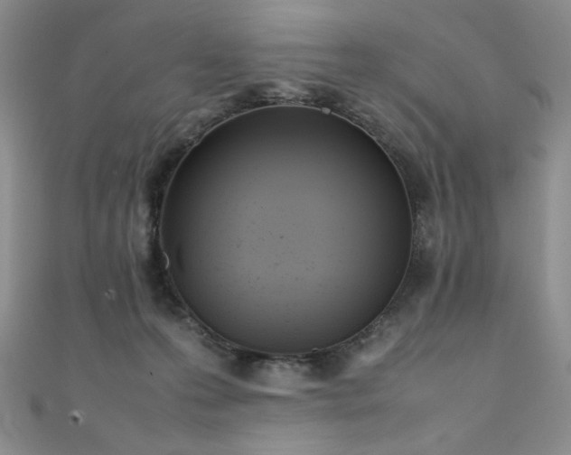 X0000111490223200907141245