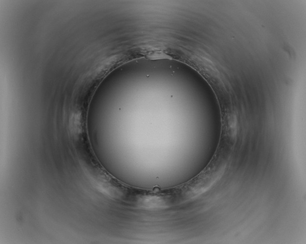 X0000111490224200907141245