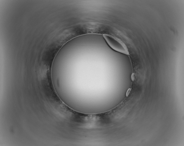 X0000111490225200907141245