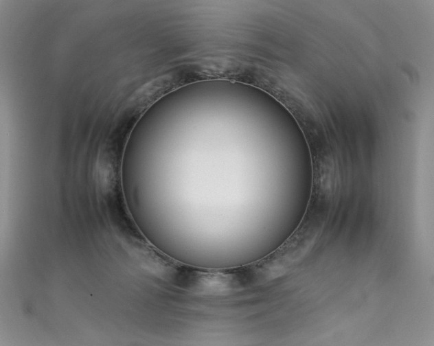 X0000111490226200907141245