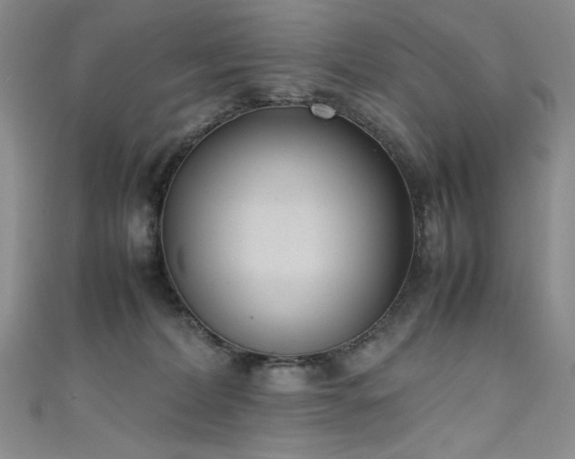 X0000111490228200907141245