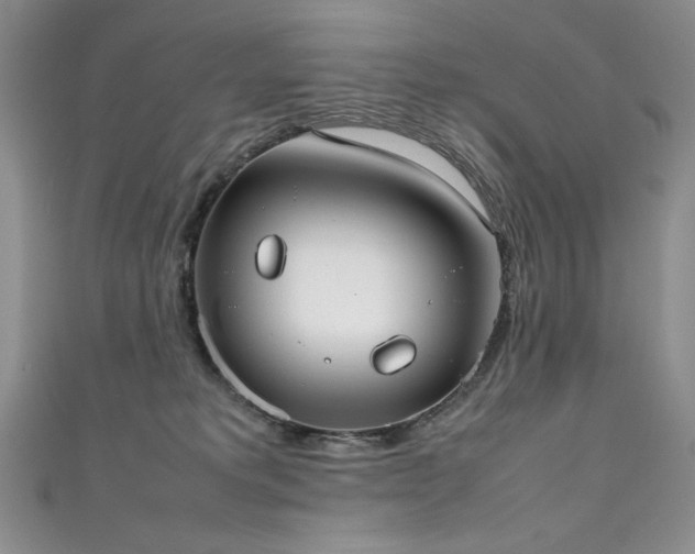 X0000111490229200907141245