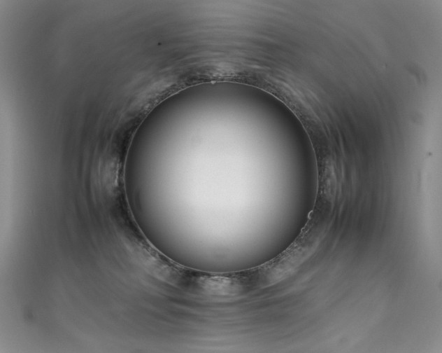 X0000111490230200907141245