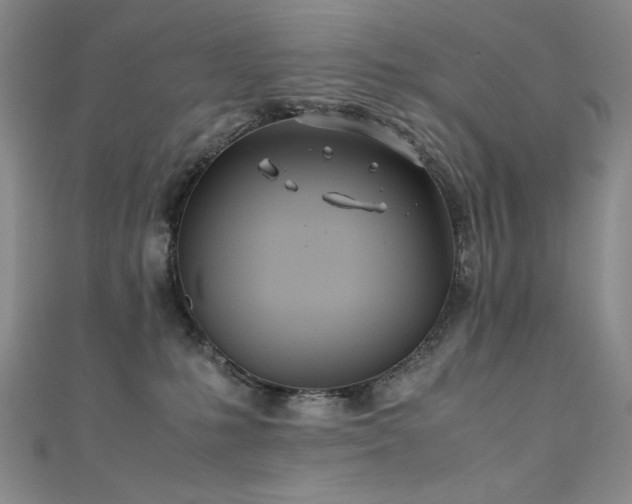 X0000111490231200907141245