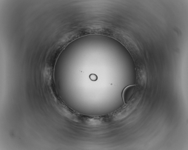 X0000111490232200907141245