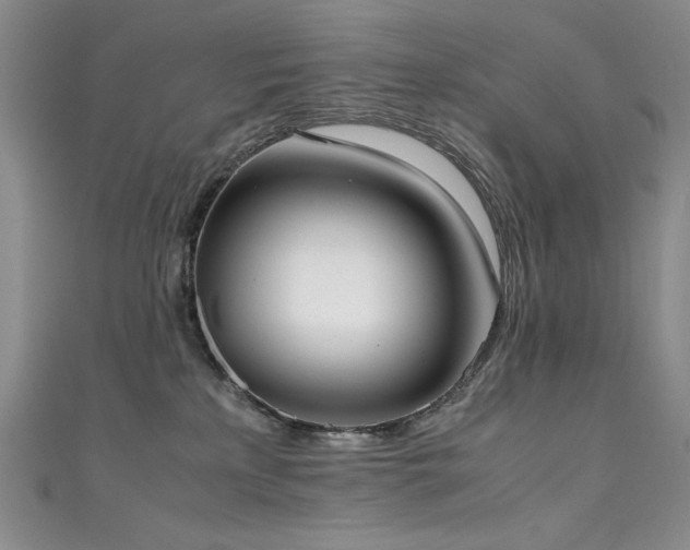 X0000111490233200907141245