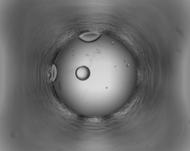 X0000111490237200907141245