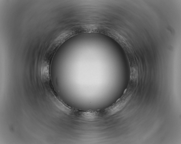 X0000111490238200907141245