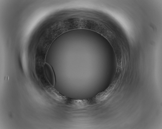 X0000111490239200907141245