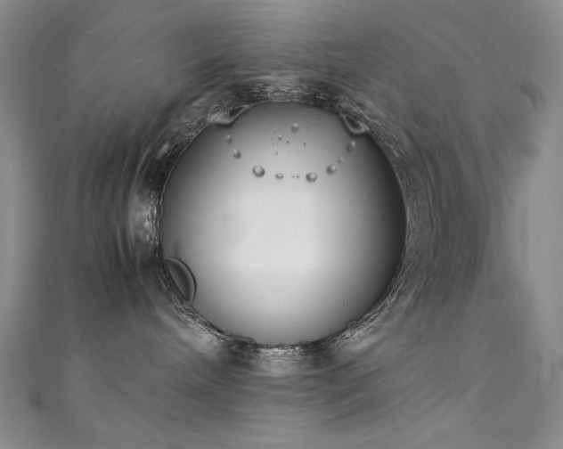 X0000111490240200907141245