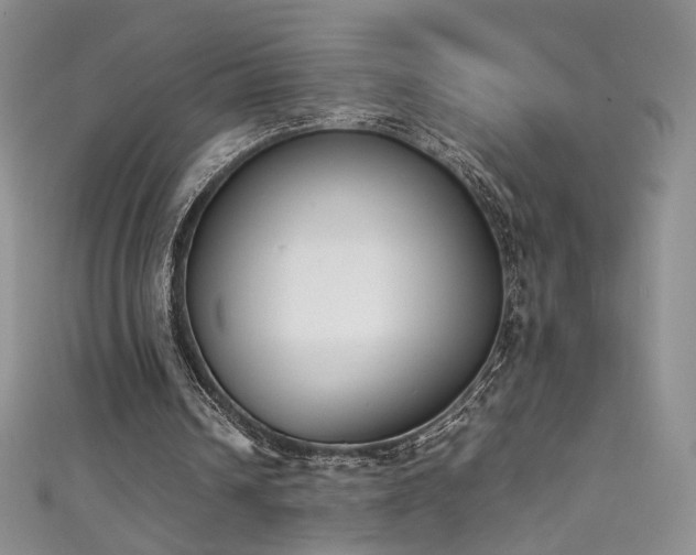 X0000111490242200907141244