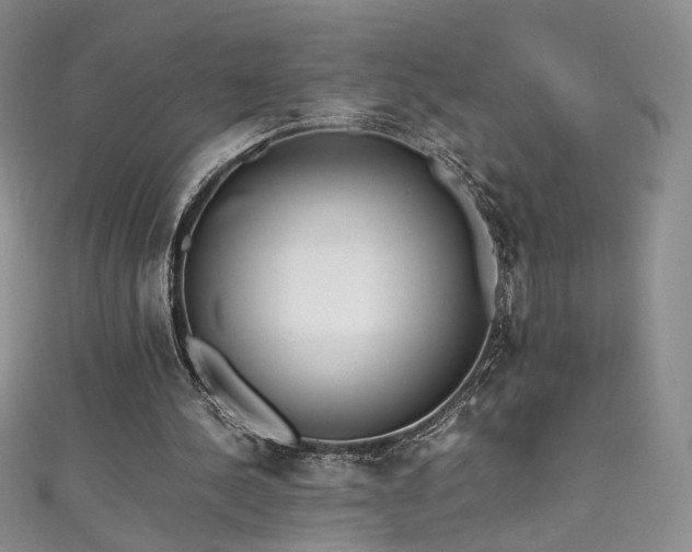 X0000111490244200907141244