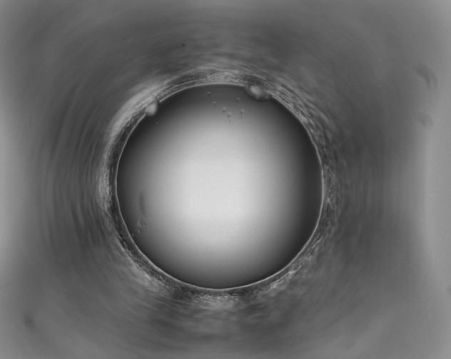 X0000111490245200907141244