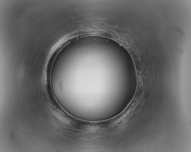 X0000111490246200907141244