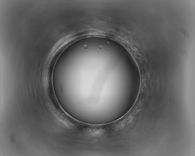 X0000111490247200907141244