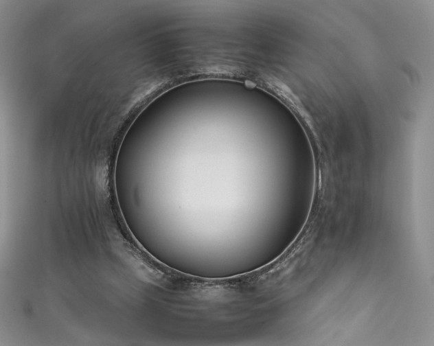 X0000111490249200907141244