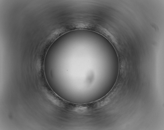X0000111490257200907141244