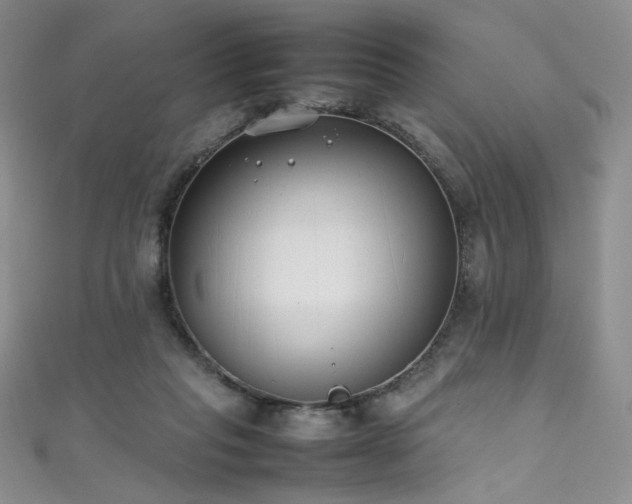 X0000111490261200907141244
