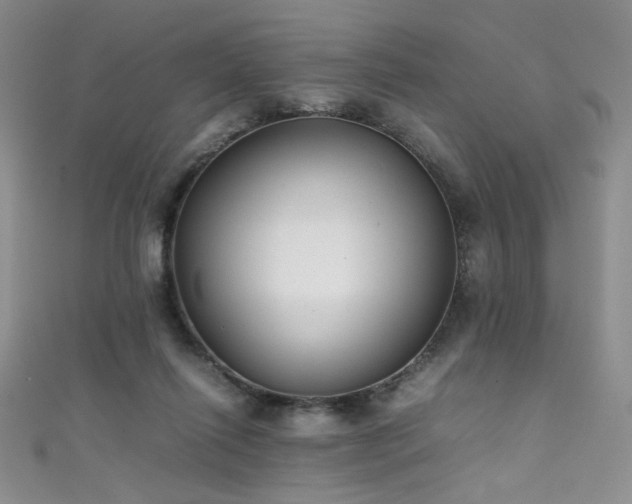 X0000111490262200907141244