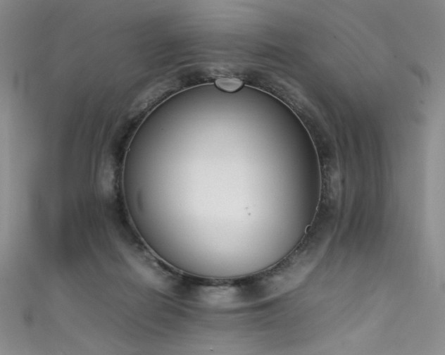 X0000111490266200907141244