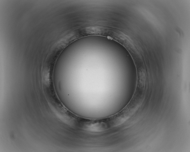 X0000111490267200907141244