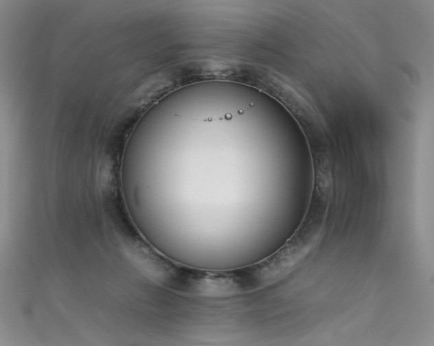 X0000111490270200907141245