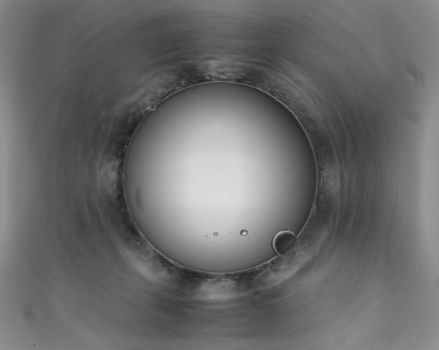 X0000111490271200907141245