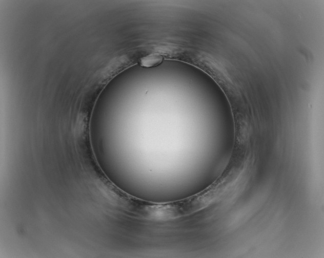 X0000111490273200907141245