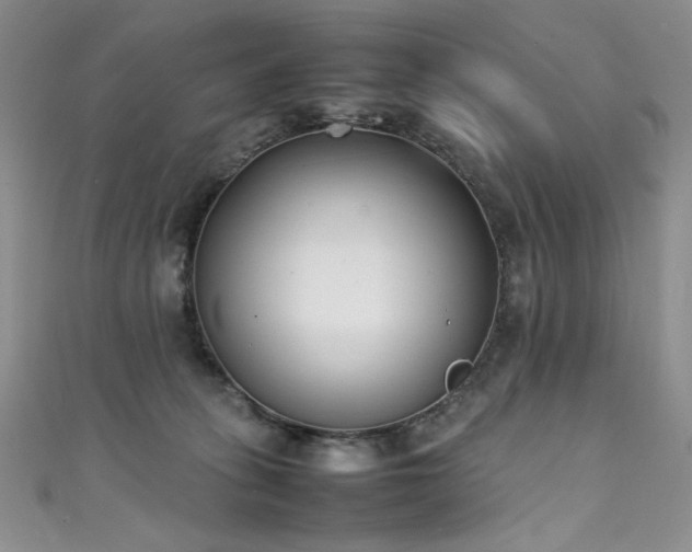 X0000111490275200907141245