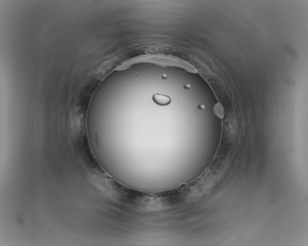 X0000111490276200907141245