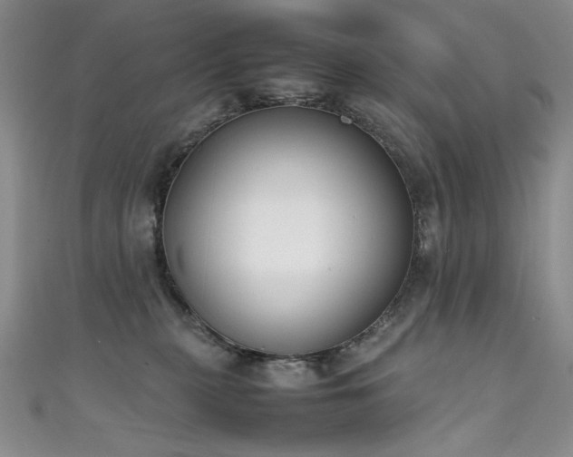 X0000111490279200907141245