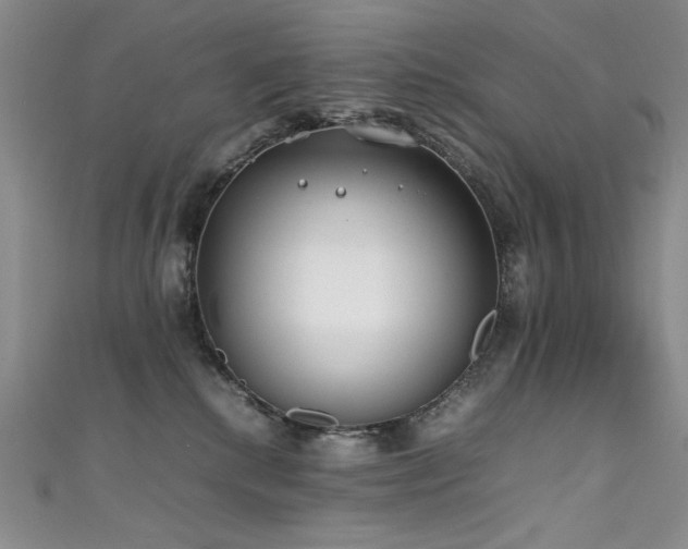 X0000111490280200907141245