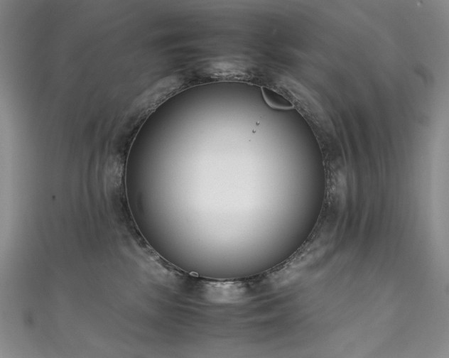 X0000111490281200907141245