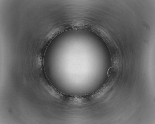 X0000111490282200907141245