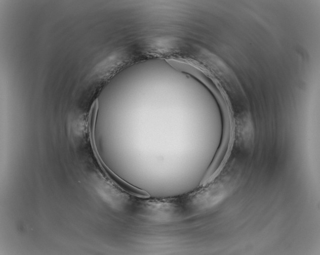 X0000111490284200907141245