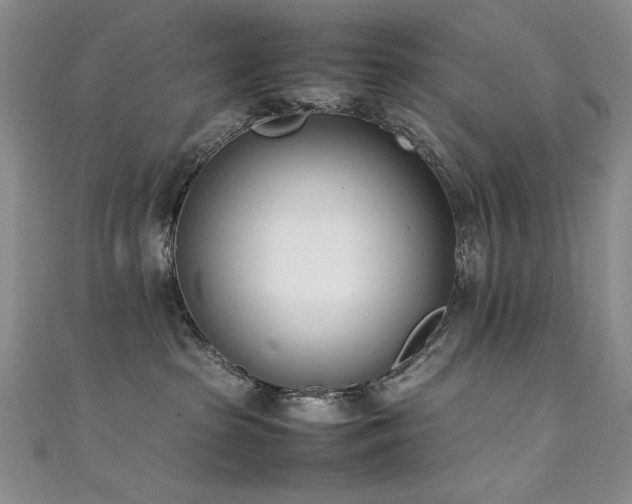 X0000111490285200907141245