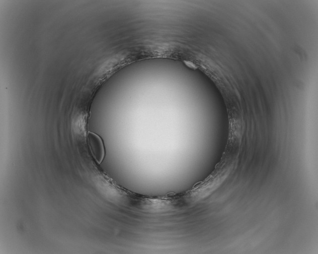 X0000111490286200907141245