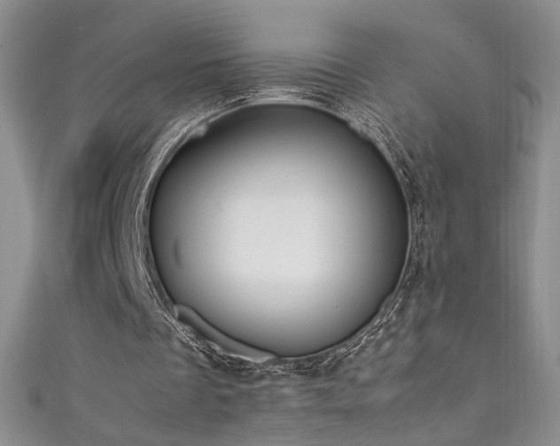 X0000111490289200907141244