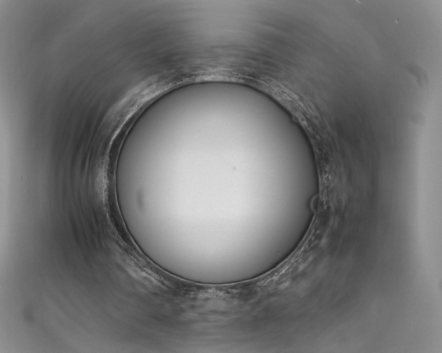 X0000111490290200907141244