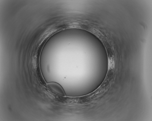 X0000111490291200907141244