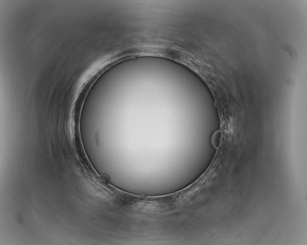 X0000111490294200907141244